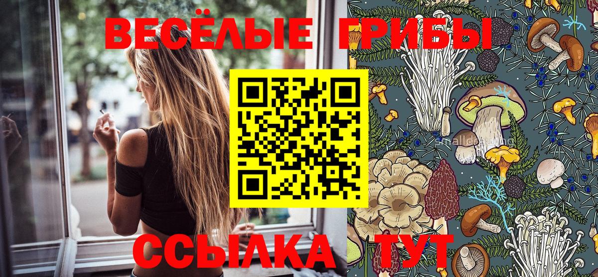Обь  Псилоцибиновые грибы Psilocybine cubensis  Вход с VPN 