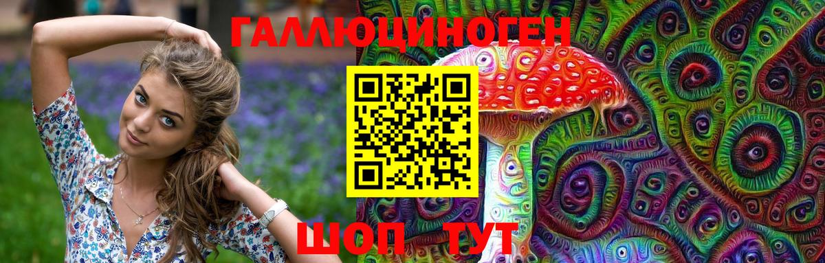 Псилоцибиновые грибы GOLDEN TEACHER Обь